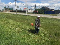 Акция «Экологический  десант»